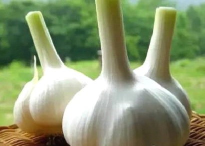 Three garlic